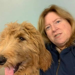 Meet your Posher, Dottie